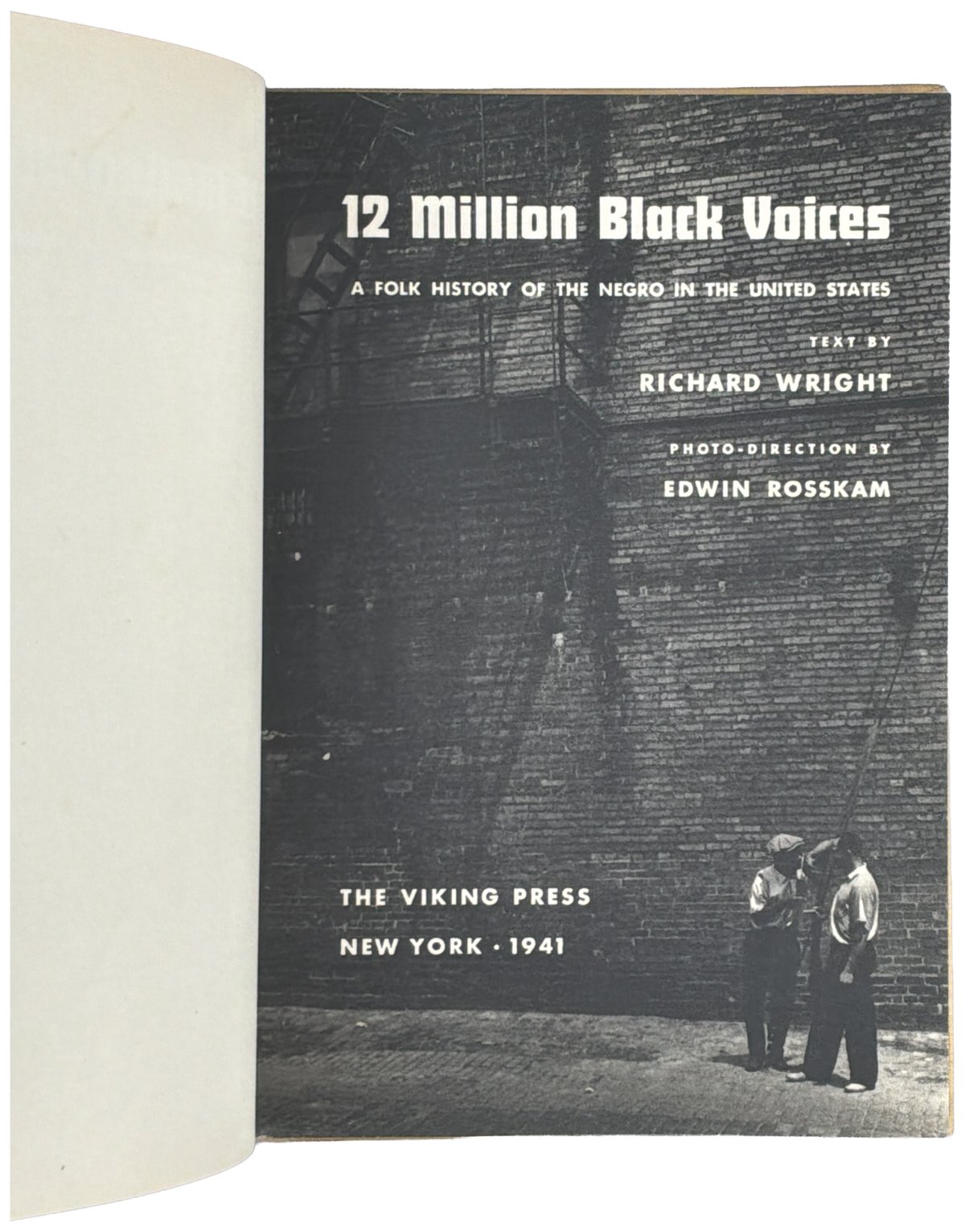 12 Million Black Voices