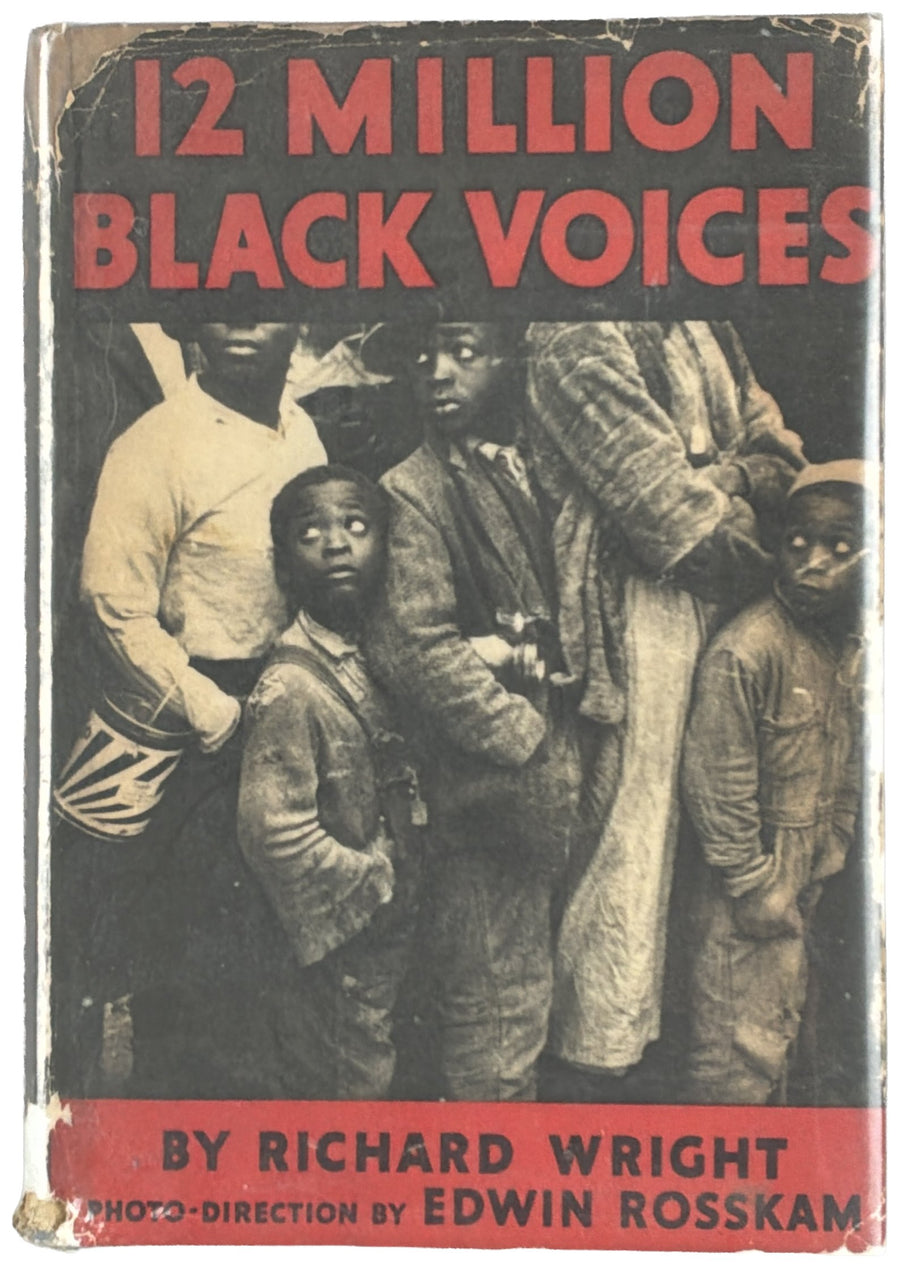 12 Million Black Voices