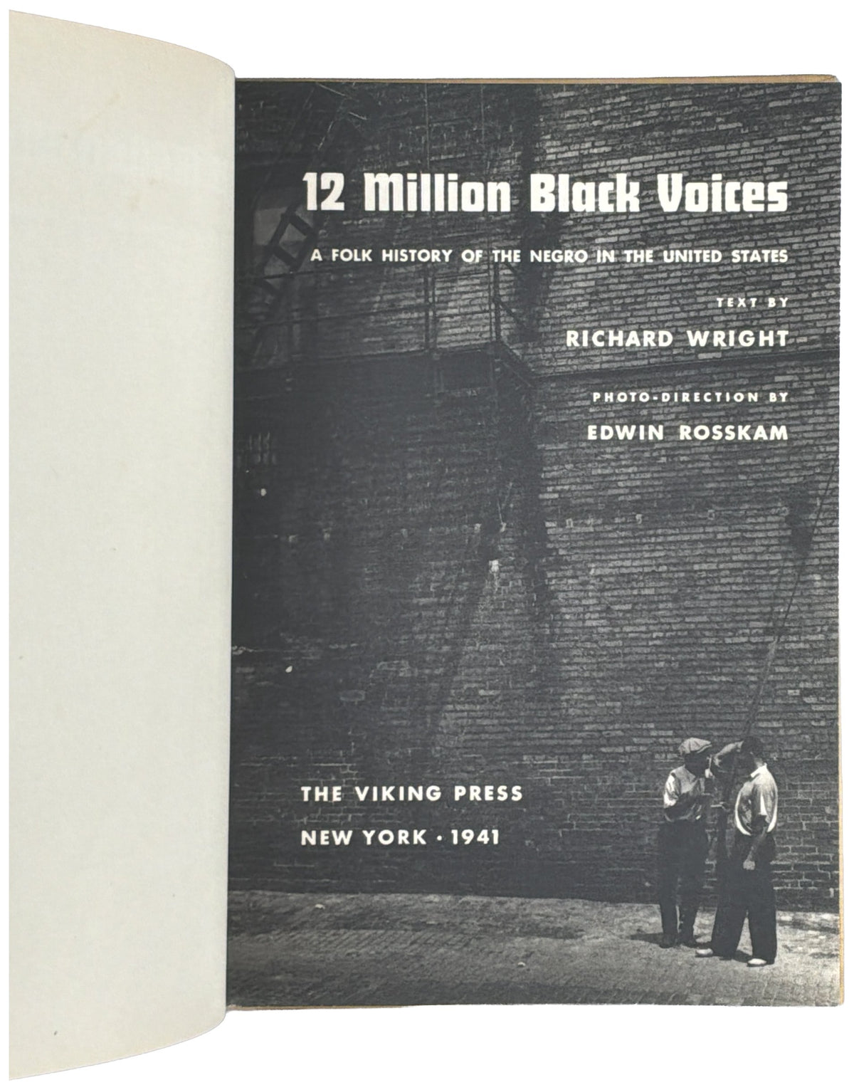 12 Million Black Voices