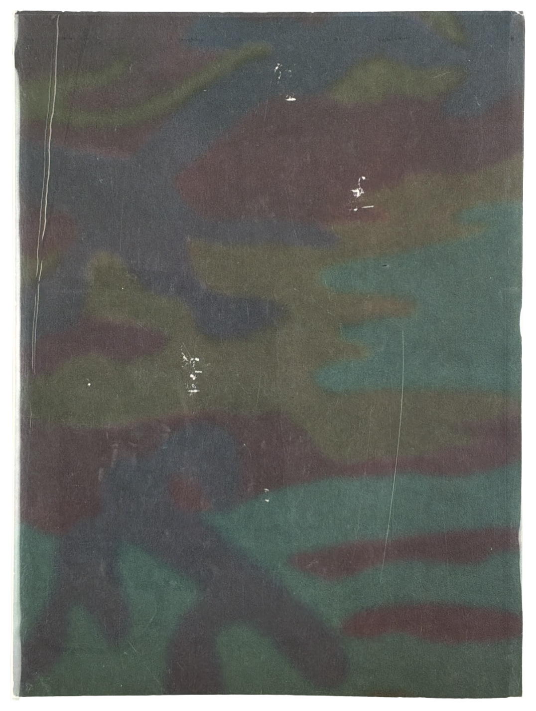 Andy Warhol: Camoflage
