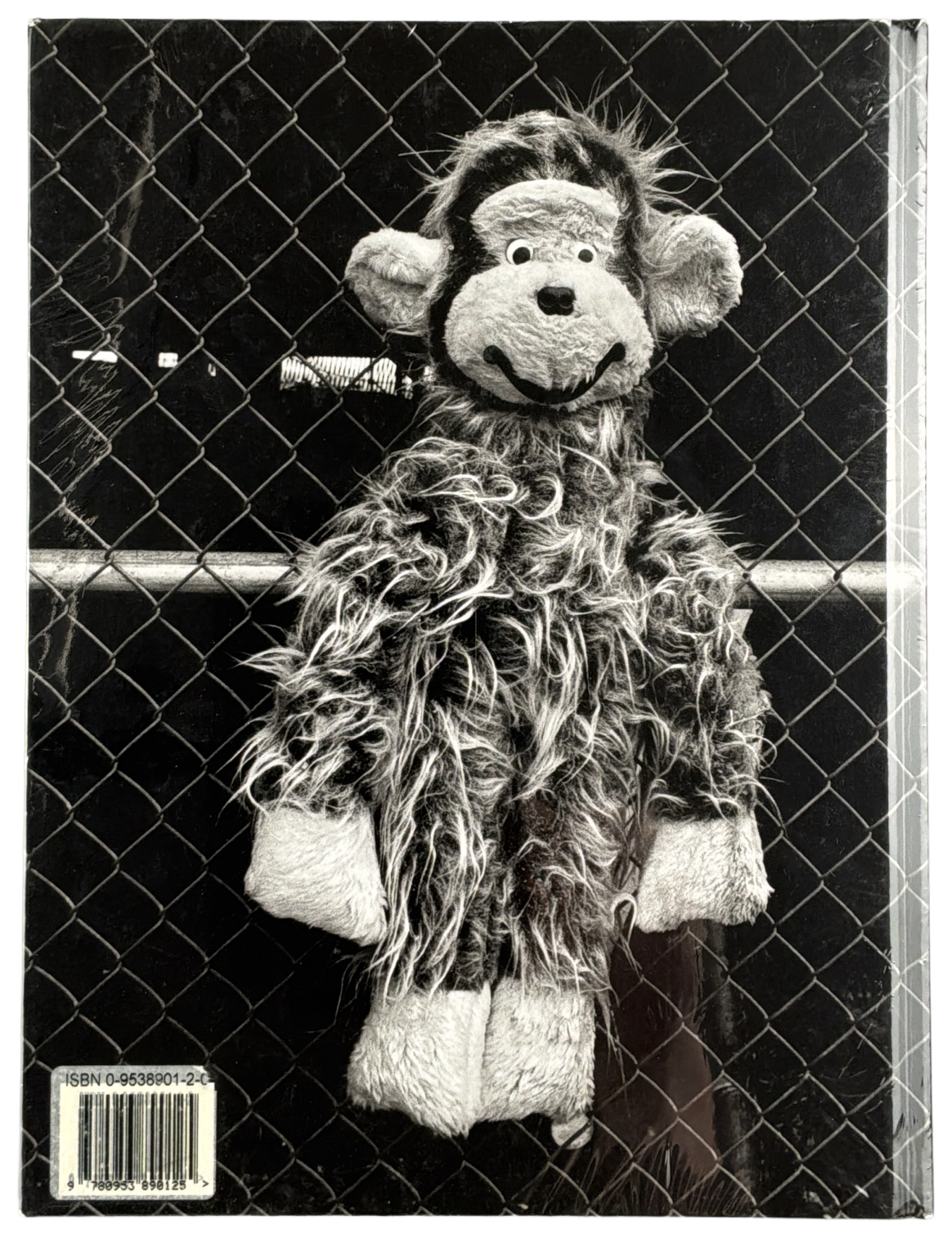Coney Island
