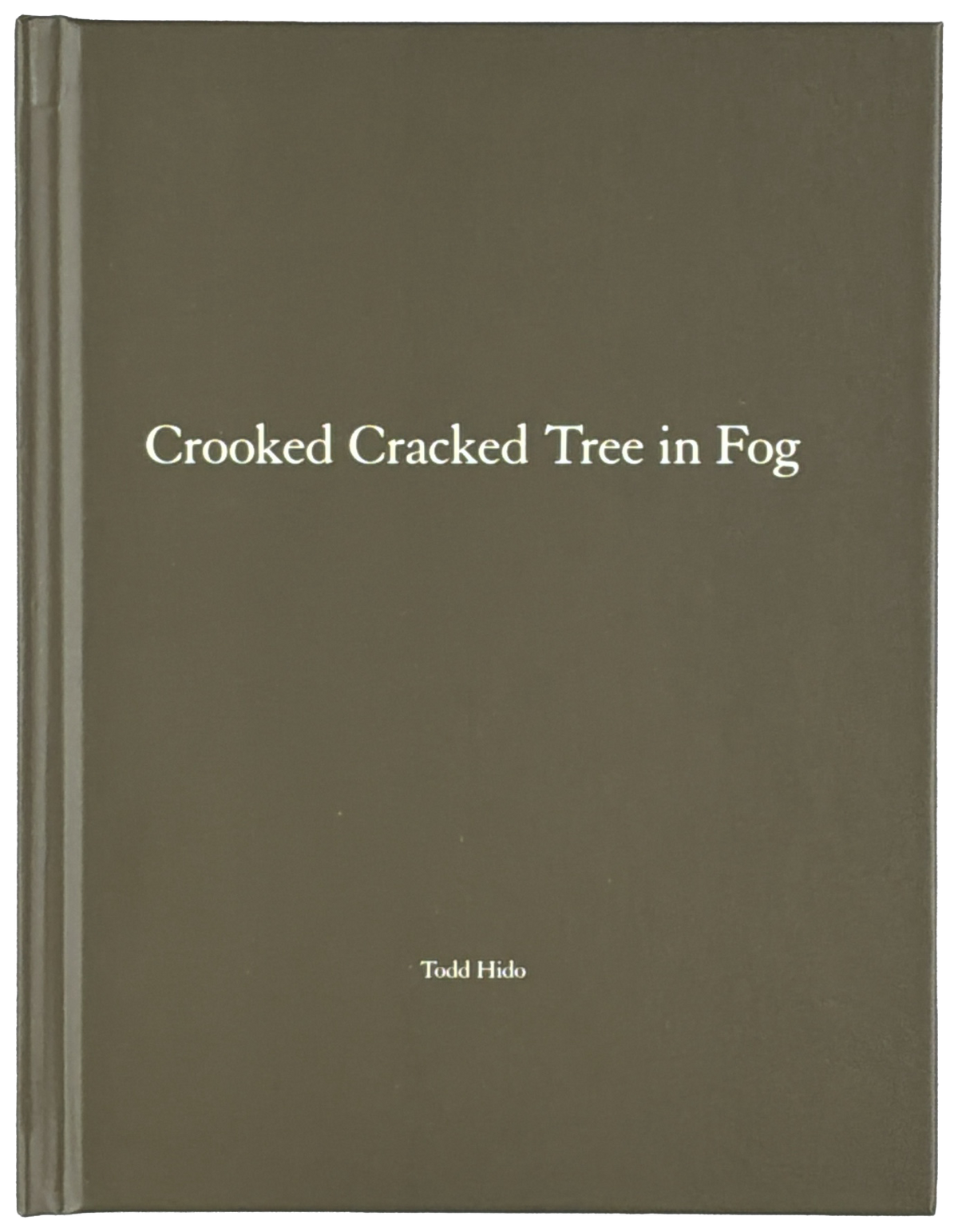 Crooked Cracked Tree in Fog