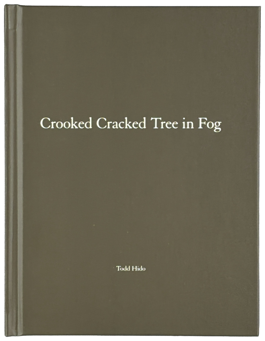 Crooked Cracked Tree in Fog