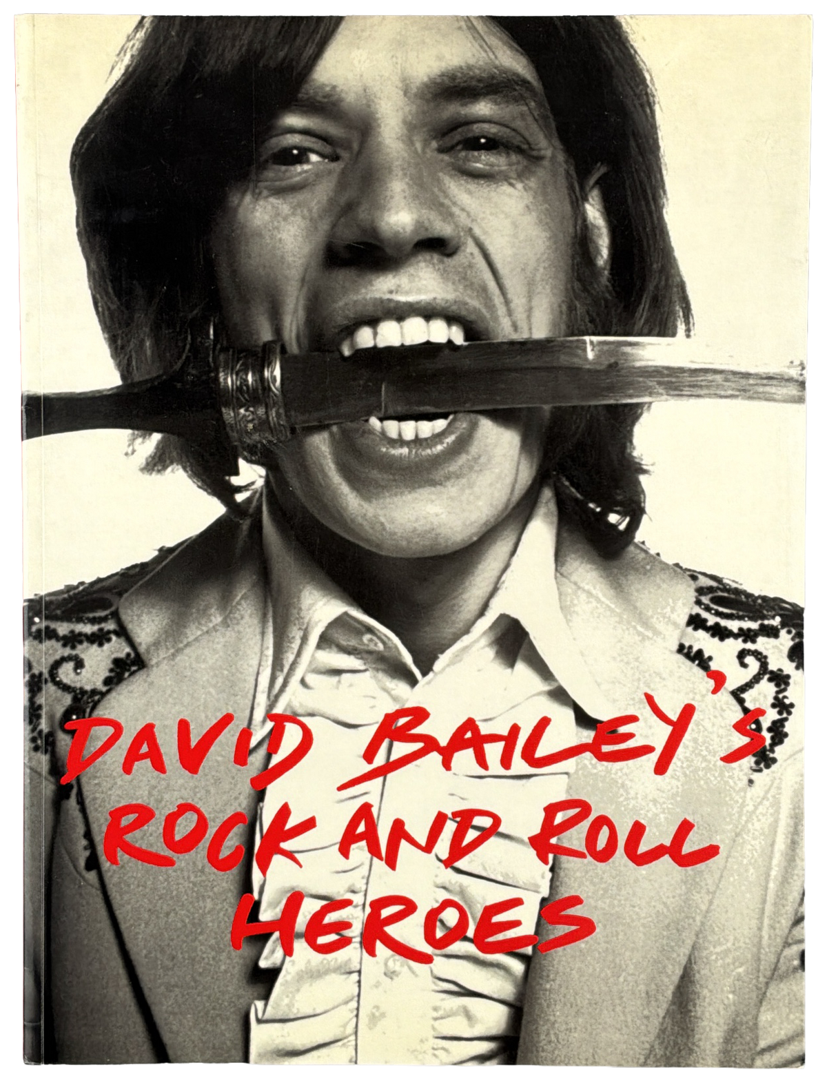 David Bailey's Rock and Roll Heroes