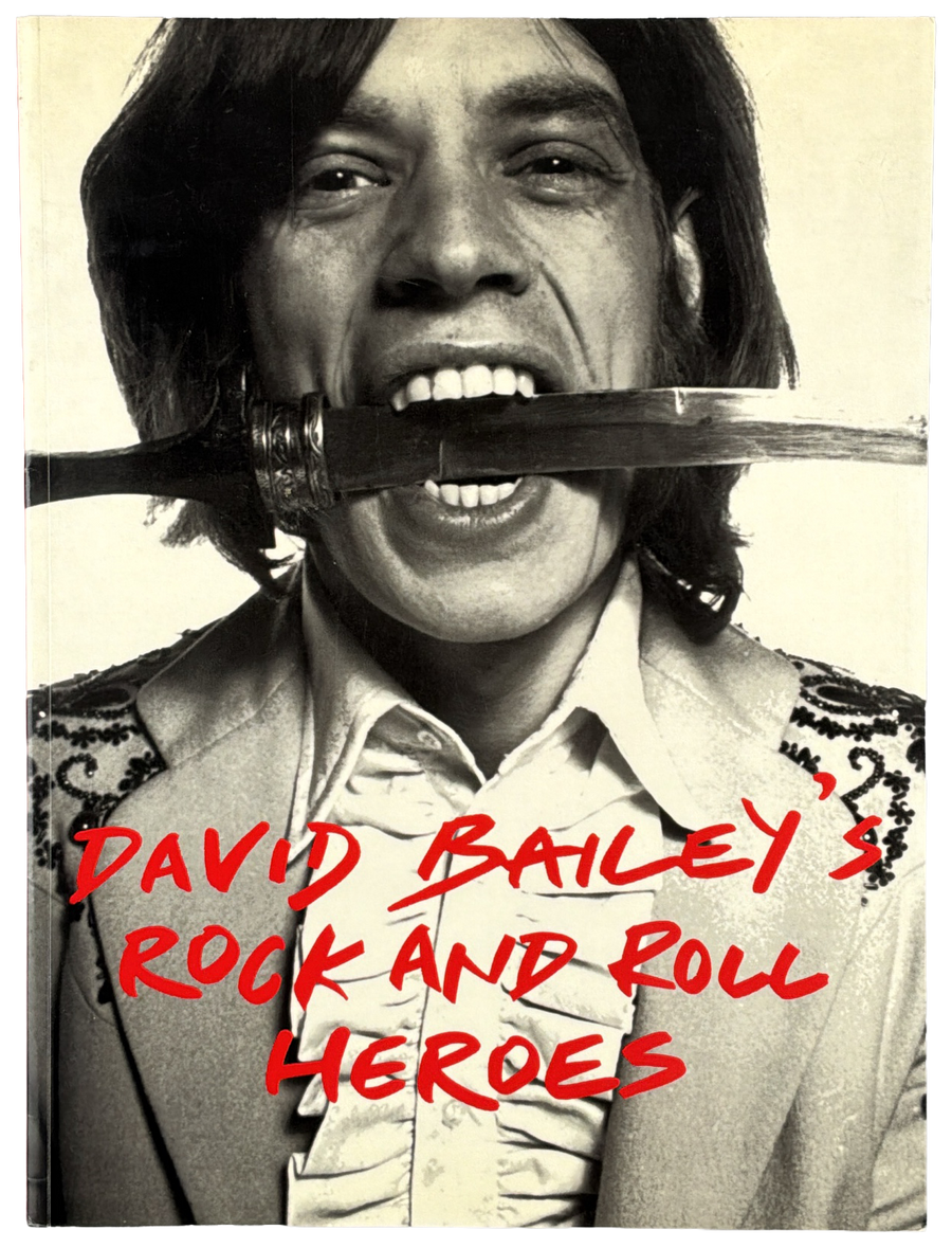 David Bailey's Rock and Roll Heroes