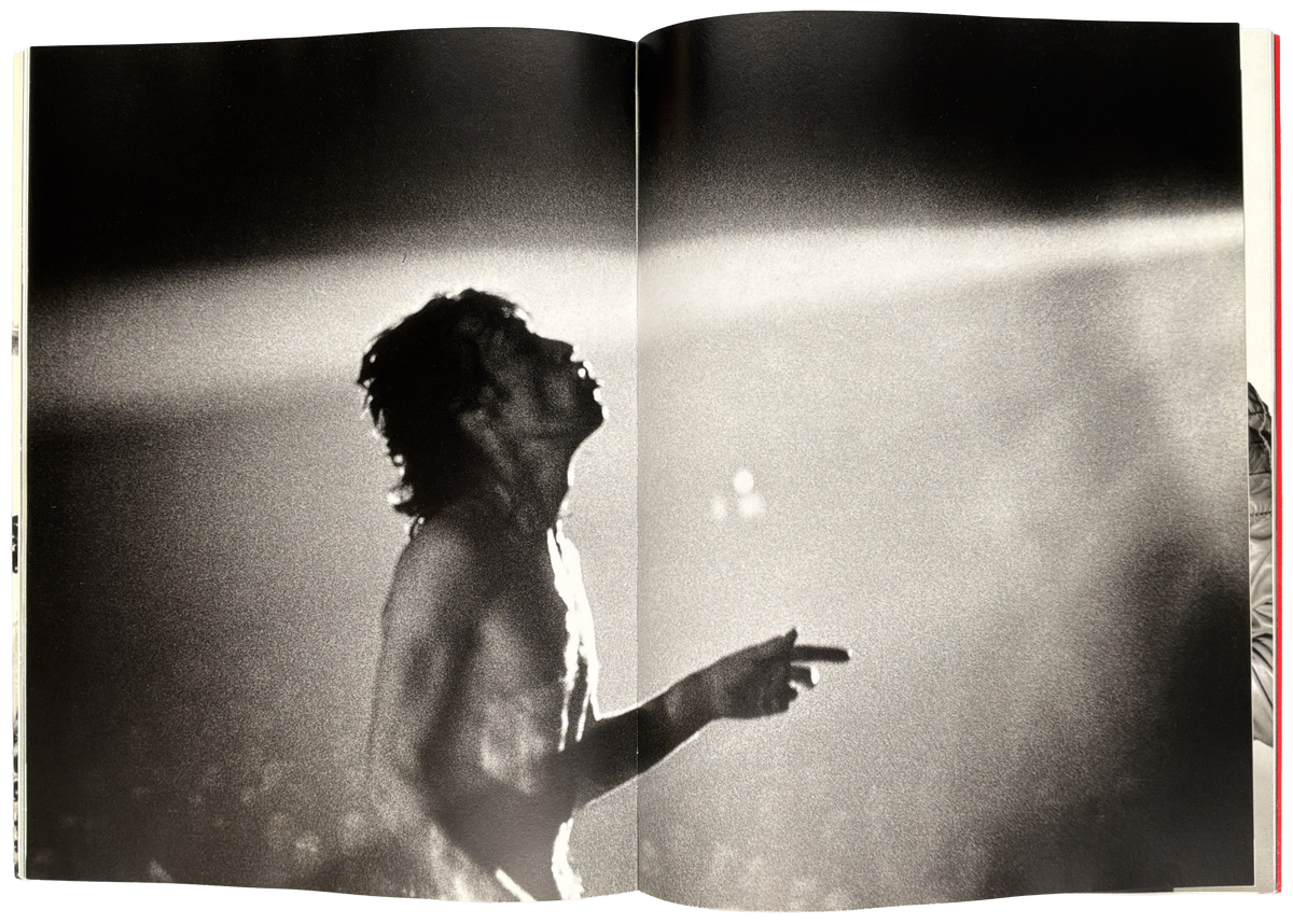 David Bailey's Rock and Roll Heroes