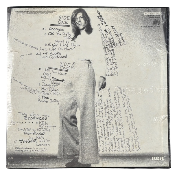 Hunky Dory