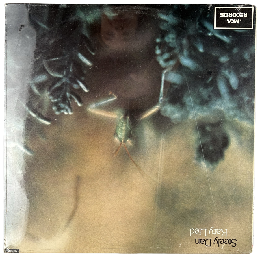 Katy Lied