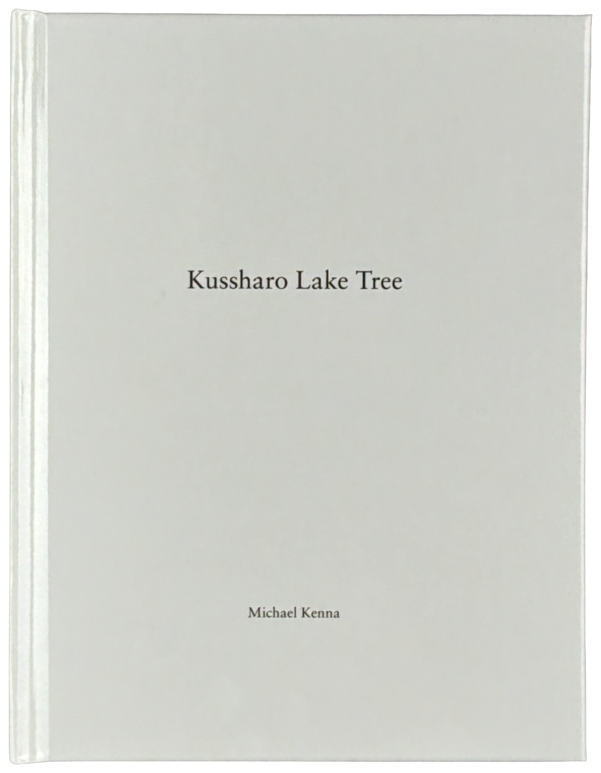 Kussharo Lake Tree