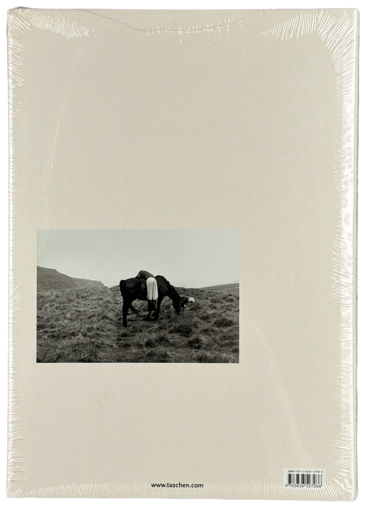 Life in Photographs