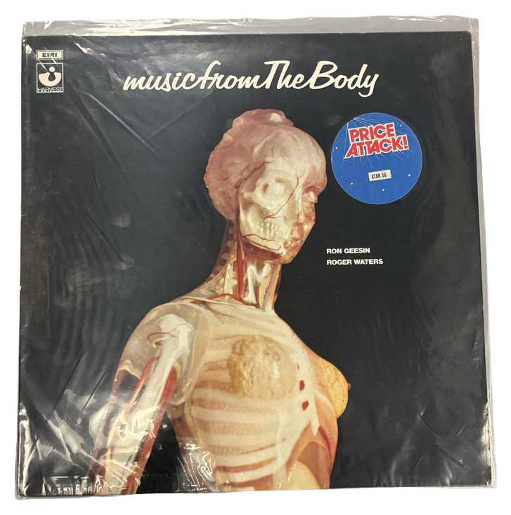 Music From The Body