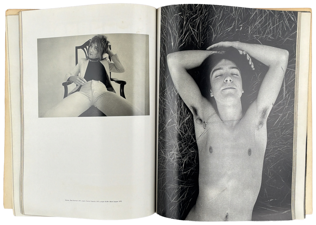 Shooting Stars: The Rolling Stones Book of Portraits