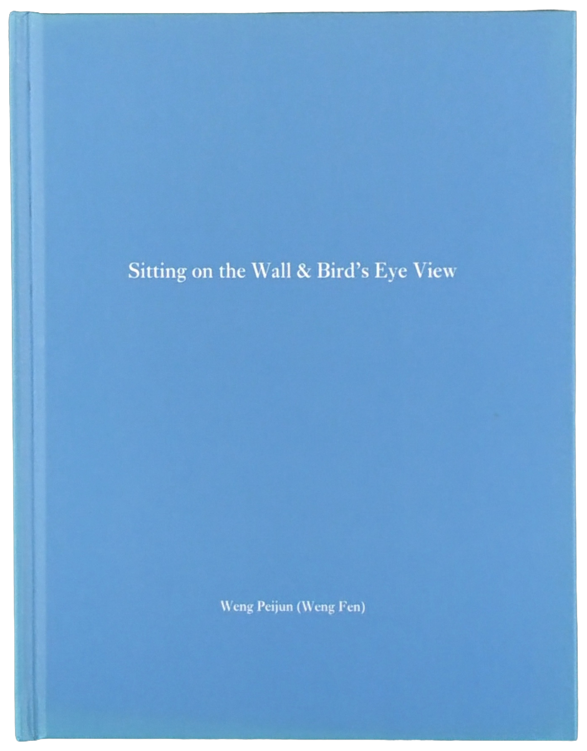 Sitting on the Wall & Bird's Eye View