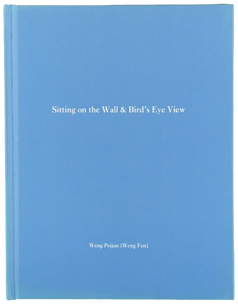 Sitting on the Wall & Bird's Eye View