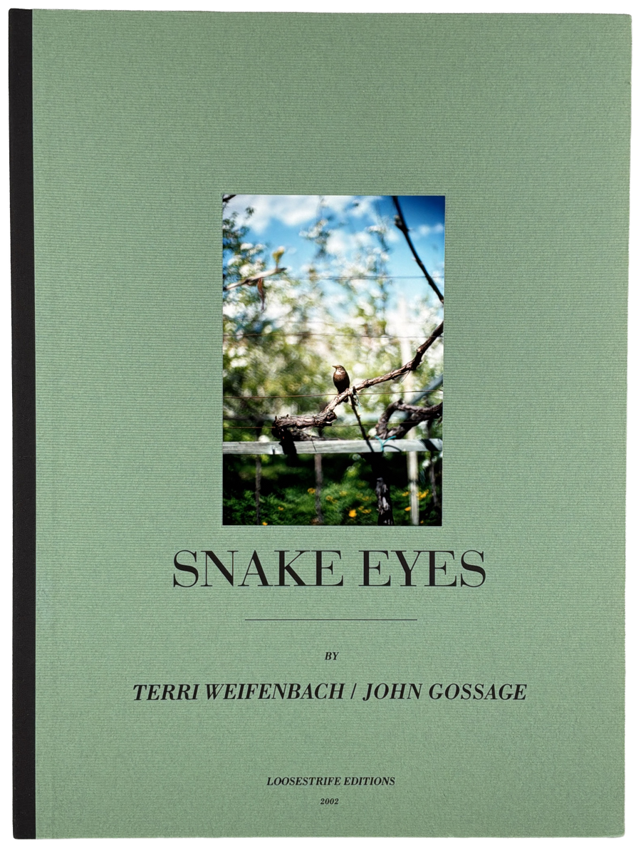 Snake Eyes